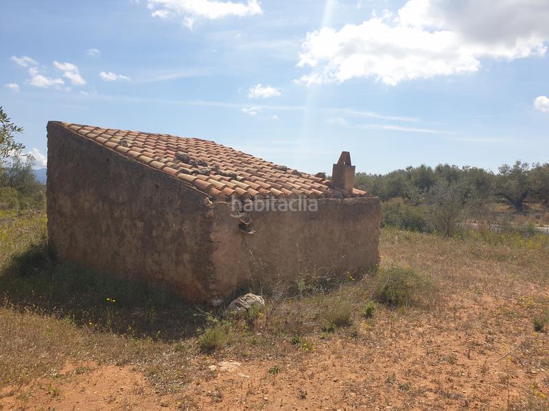 Foto a4369386-ea94-4635-bffc-6ec916859bb5. Finca rústica a Sénia (La)