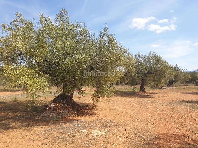 Foto e6f122d7-019f-4da5-899e-0891cf6f63e9. Finca rústica a Sénia (La)