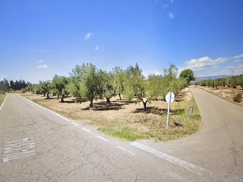 Foto 3a0c4d1b-525e-451f-9f7c-673491bbb851. Finca rústica a Godall