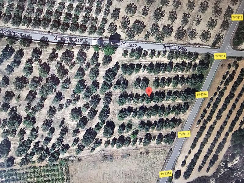 Foto 792da7bf-53d8-4af1-b982-dc5bbb349cd7. Finca rústica a Godall