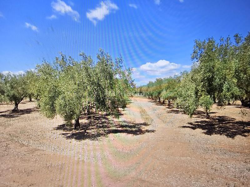 Foto 92919380-87f6-4cf0-9b97-634be1f87eb4. Finca rústica a Godall