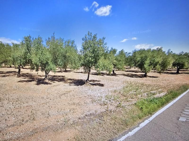 Foto c47de16f-7e08-4b91-bd77-9294c3d61152. Finca rústica a Godall