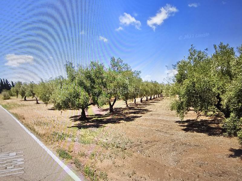 Foto f7a12da8-0b28-4c04-8a43-dfbf56397120. Finca rústica a Godall