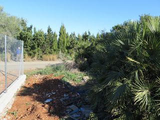 Rural plot in Godall
