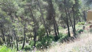 Residential Plot in Airesol