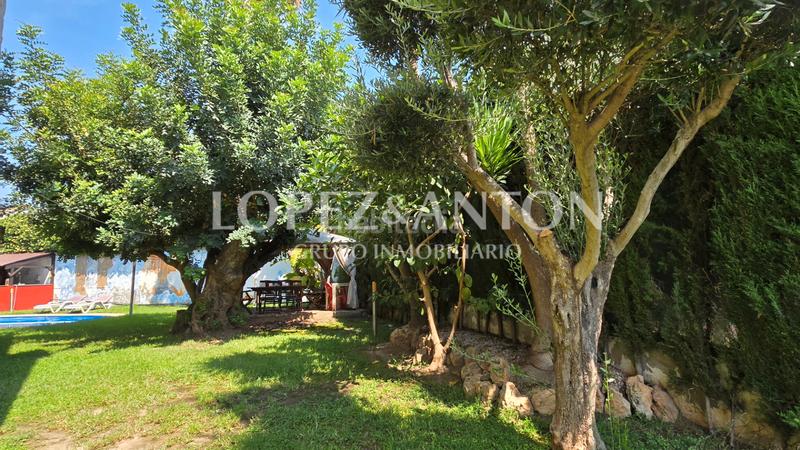 Foto bbba8742-8b56-408d-9ce9-d28ef57f668b. Xalet amb xemeneia calefacció aparcament piscina a Eliana (l´)