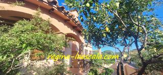 Casa  Carrer muga. Con licencia turística * una espaciosa casa, con mucha luz ! y a