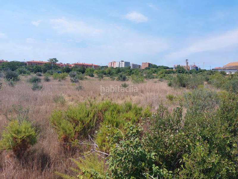 Foto 4055ed96-67f3-4833-b4f7-1588f847a455. Area edificabile industriale in Torreforta Tarragona