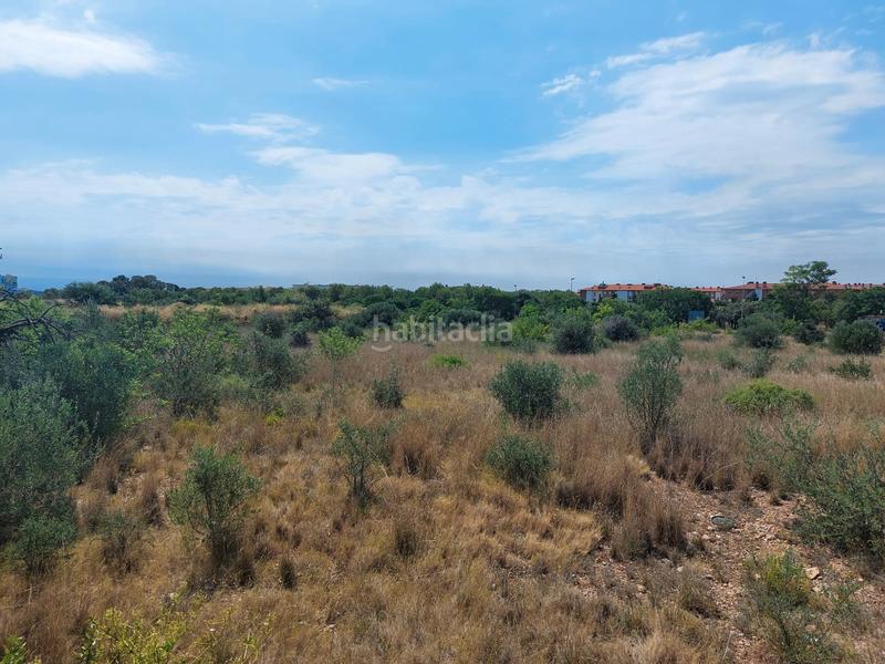 Foto f2a0c67e-ed08-45e0-922f-c39634ca0f4d. Area edificabile industriale in Torreforta Tarragona