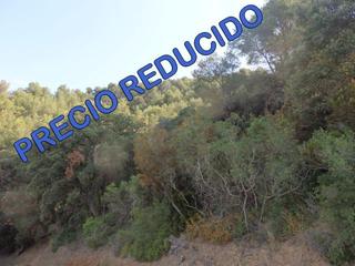 Rural plot in Aleixar (L´). Terreno en venta en aleixar (l`).