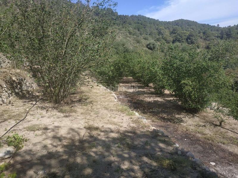 Foto 1acd6811-9639-4d06-92e6-2fbab8e0e3f1. Wohngrundstück in Aleixar (L´)