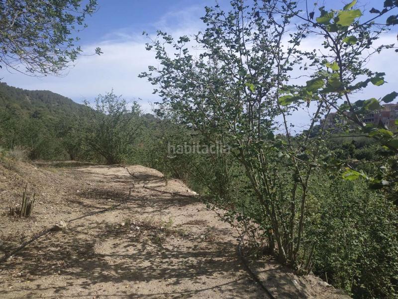 Foto 1d8b72df-33c8-4276-b167-8b0598db1f56. Wohngrundstück in Aleixar (L´)