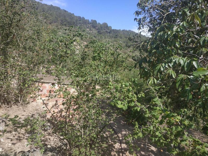 Foto 361615c4-8996-4ed7-b1ce-5239c6e4ce9f. Wohngrundstück in Aleixar (L´)