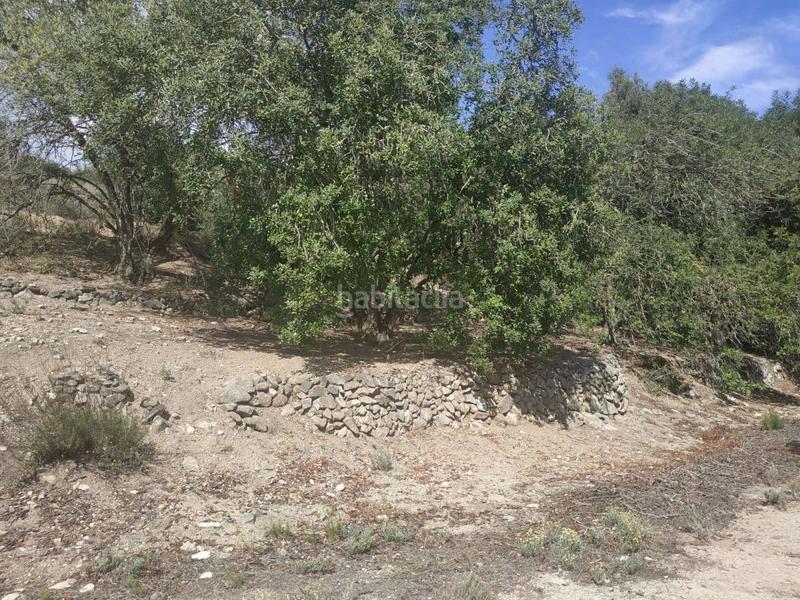 Foto ae221a10-9f87-4459-b0b5-da6de3bb9c7e. Wohngrundstück in Aleixar (L´)