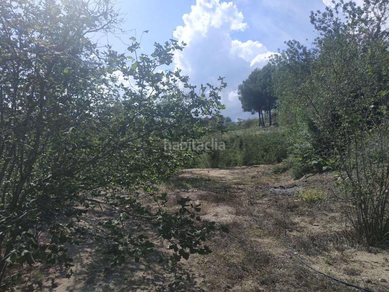 Foto b013d921-d4d9-4905-8d60-d252491d29c5. Wohngrundstück in Aleixar (L´)