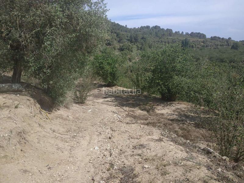 Foto bb79cff0-d225-48b0-8ccf-0365dec9c270. Wohngrundstück in Aleixar (L´)
