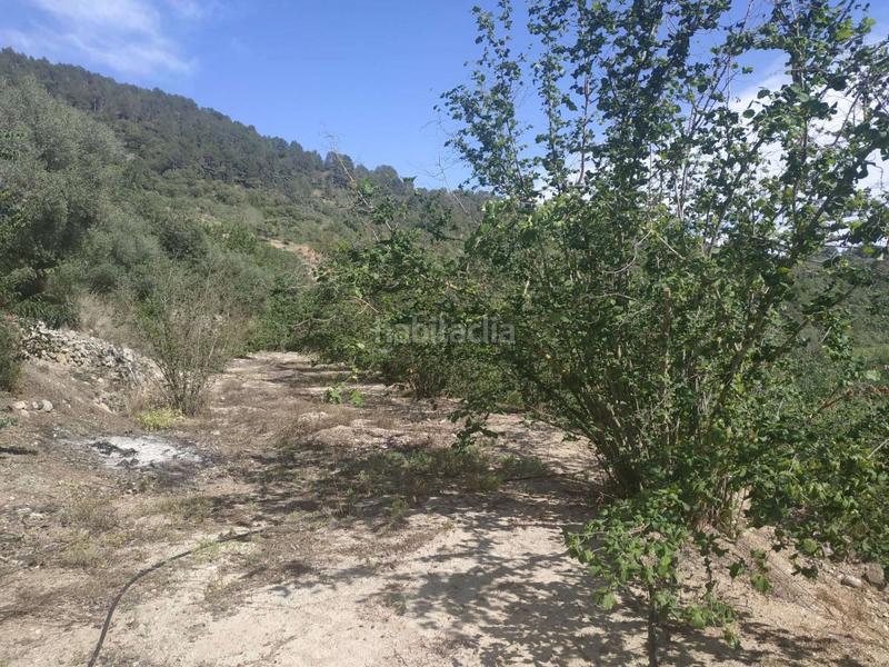 Foto c3bab2fd-2d56-4838-a526-7687f80c8f25. Wohngrundstück in Aleixar (L´)