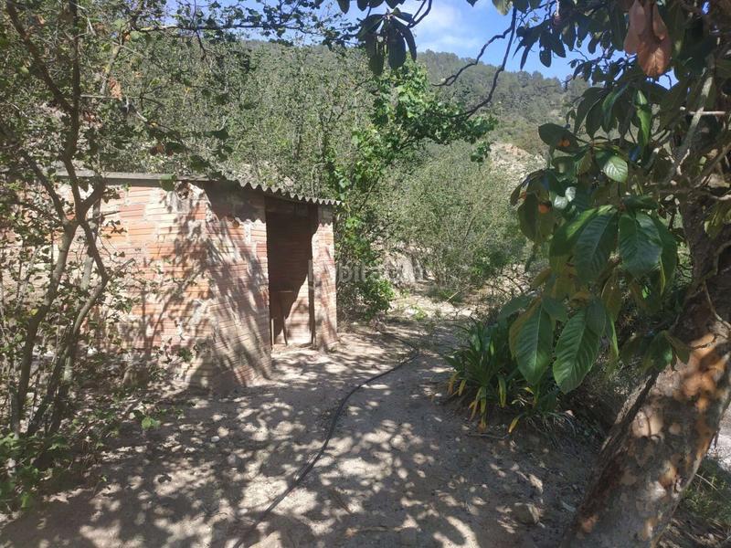 Foto e49d8f0e-8d67-4862-969e-8afa0e61c2ed. Wohngrundstück in Aleixar (L´)