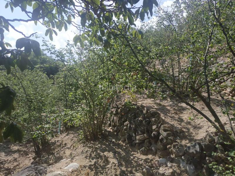 Foto e8d55690-3e98-45da-b6f9-5a458792f0c2. Wohngrundstück in Aleixar (L´)