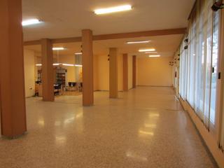 Local Comercial  N/a. Local en venta en selva del camp (la), 1 dormitorio.
