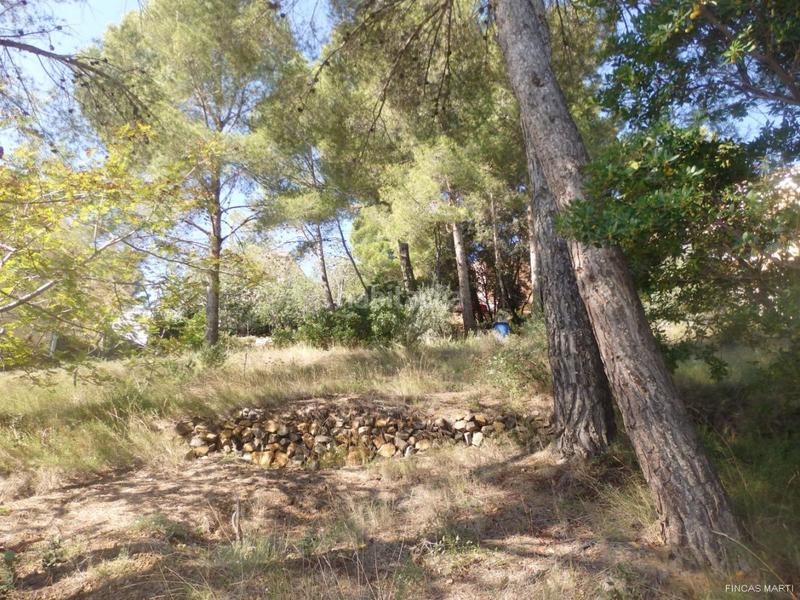 Foto 4593a56f-3725-46a7-96ad-4417c019c133. Wohngrundstück in Riudecanyes