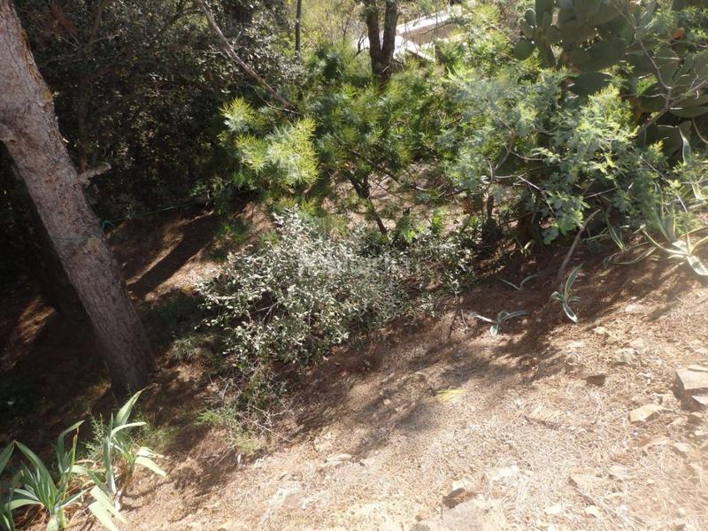 Foto 481e9ca1-f312-431f-94fd-0184cad4a696. Wohngrundstück in Riudecanyes