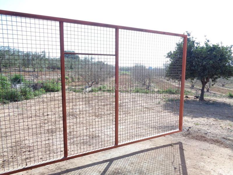 Foto 0108dae3-90de-4acf-ab2a-44e9d18eed46. Terreny residencial a Riudoms