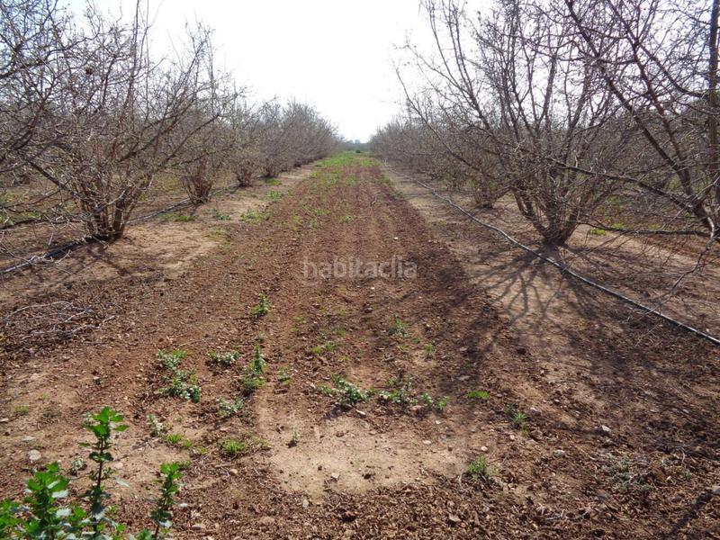 Foto 15986bd4-1d37-40b1-b70f-740d29bfb471. Terreny residencial a Riudoms