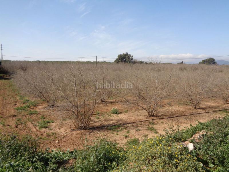 Foto 2b709239-2475-48bc-8822-7b089615677a. Terreny residencial a Riudoms