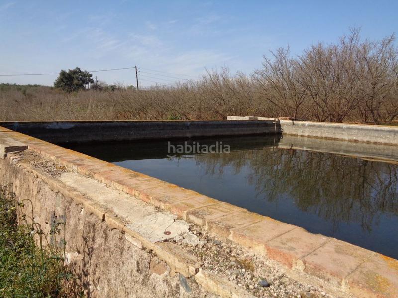 Foto 36e8a069-8f70-4eff-abe9-47047df01321. Terreny residencial a Riudoms