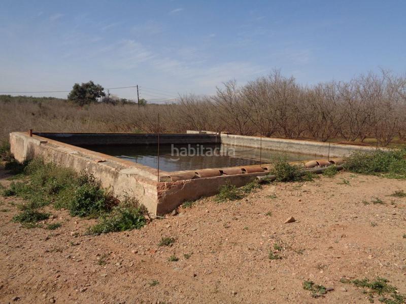 Foto 39660c13-a403-47ac-96a1-c41e00c578e8. Terreny residencial a Riudoms