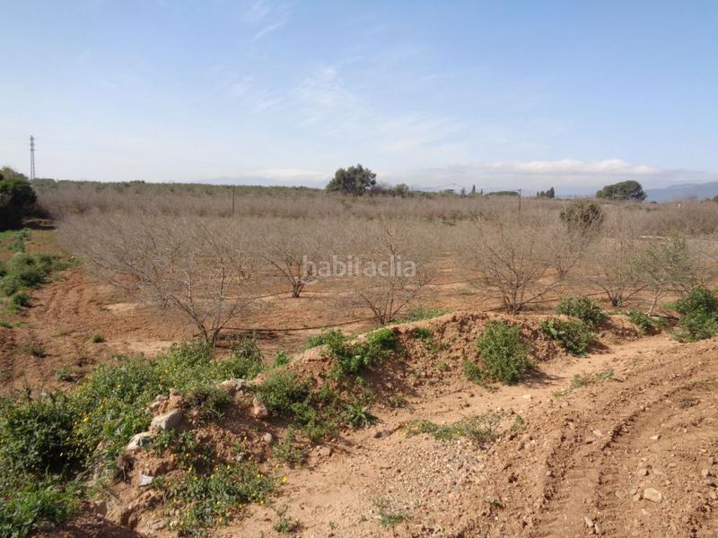 Foto 45f41c80-5236-4c61-a904-5d28b99f8ffe. Terreny residencial a Riudoms