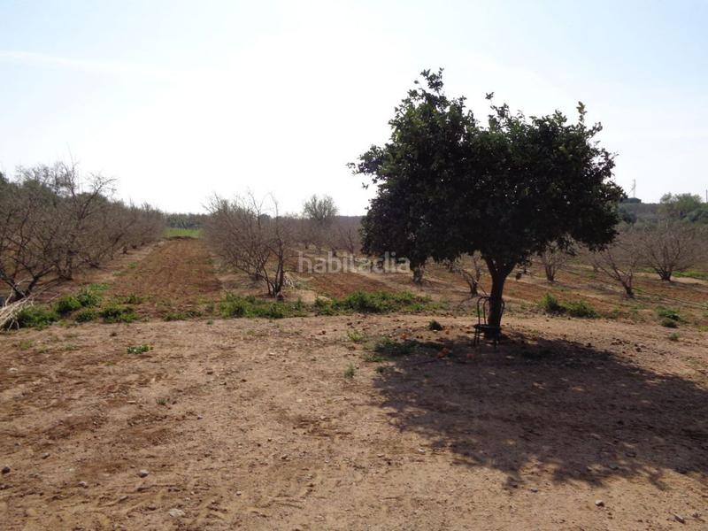 Foto c6995609-8e2b-48f2-95da-4b3fe5d6b79f. Terreny residencial a Riudoms