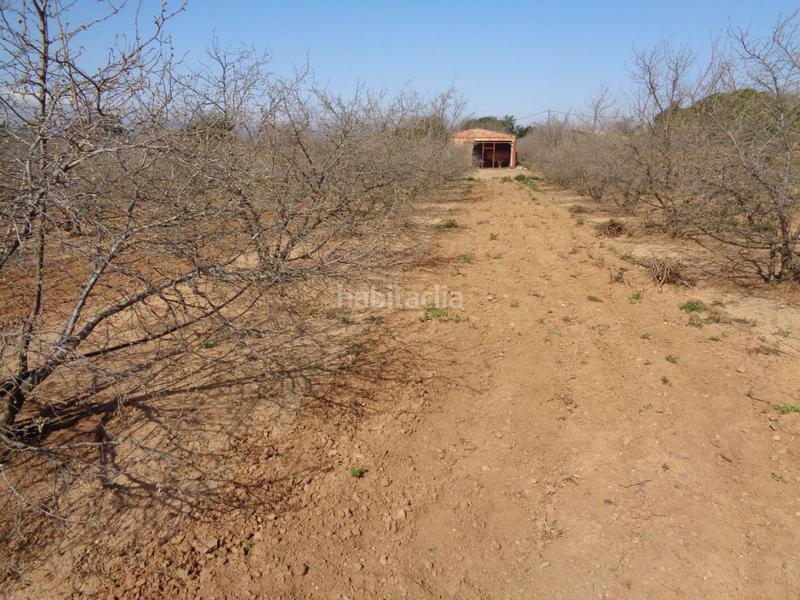 Foto d2ce6d01-02cf-4406-9962-e274942362c3. Terreny residencial a Riudoms