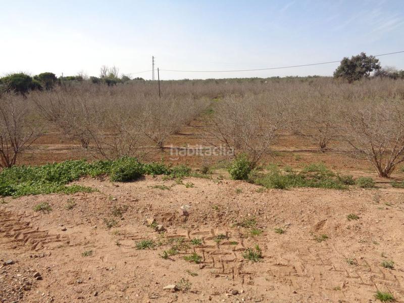 Foto d771f0b2-fcef-40a3-ab2b-73000b2b775d. Terreny residencial a Riudoms