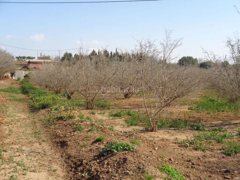 Foto e6cb1a72-595e-4446-9197-c2d5ae3da033. Terreny residencial a Riudoms