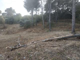 Residential Plot  Dragó. Parc.urbana en venta en albiol l.