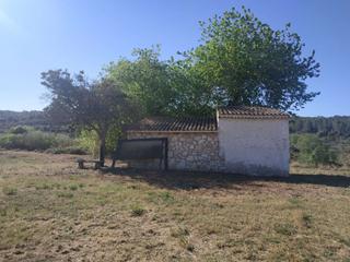 Masia a Vallmoll. Finca rúst. en venta en vallmoll.