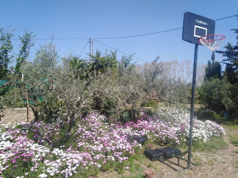 Foto 4c10714d-0d4d-49e5-9041-022184021f83. Casa en recreo 48 casa con finca en venta , 2 dormitorios. en Riudoms