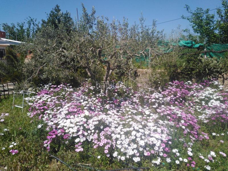 Foto 6dea3a39-fa6b-4fd6-b92e-ec2eab2434e3. Casa en recreo 48 casa con finca en venta , 2 dormitorios. en Riudoms