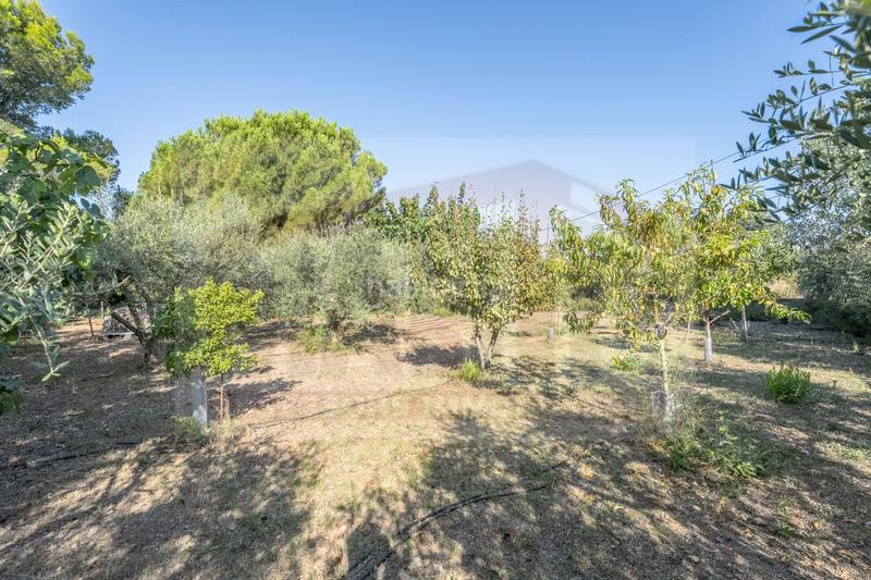 Foto d563e83d-022f-4301-b23c-4b29a0357833. Casa en recreo 48 casa con finca en venta , 2 dormitorios. en Riudoms