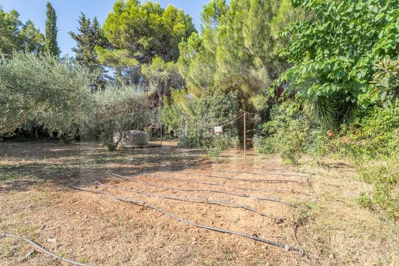 Foto f52838b6-5a3d-4dab-b986-2ac2c36bd006. Casa en recreo 48 casa con finca en venta , 2 dormitorios. en Riudoms