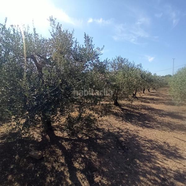 Foto 04d0d4e7-2455-4784-bd84-f6748b23aa48. Masia a Selva del Camp (La)