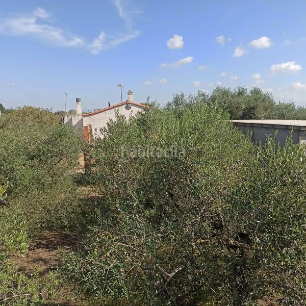 Foto 3990684f-afd0-4c9a-b21f-0e23db7790aa. Masia a Selva del Camp (La)