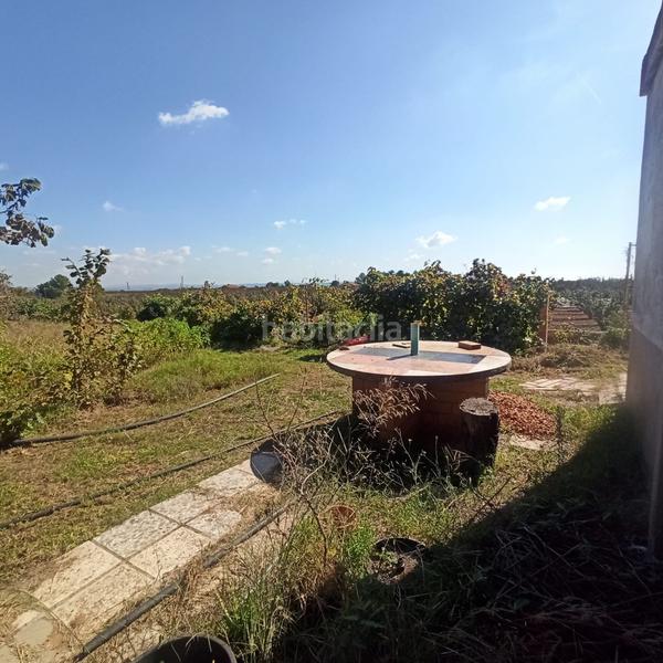 Foto b3a910ec-8acf-4f49-8d9b-003bf753917f. Masia a Selva del Camp (La)