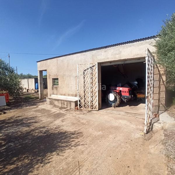 Foto c0cb1144-60b2-4e05-aa18-ea4a9a65f246. Masia a Selva del Camp (La)