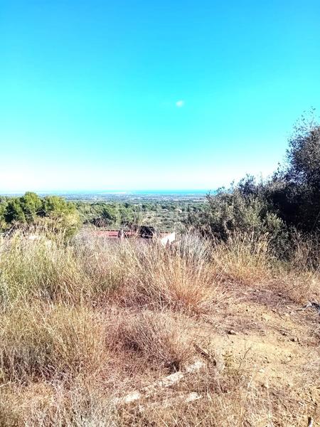 Foto 0461d1ac-734f-4ece-94cb-d6253573e503. Terreno residenziale in Riudecanyes