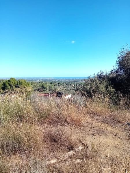 Foto 2740b604-8a11-42c5-807f-0f69dbb81bb4. Terreno residenziale in Riudecanyes