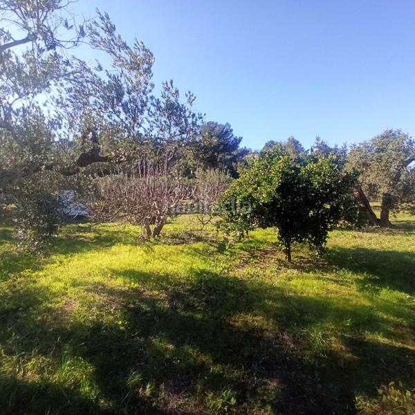 Foto 4a827c6e-00fc-497b-81e0-3819826615b6. Terreno residencial terreno rústico en venta en aleixar l. en Aleixar (L´)