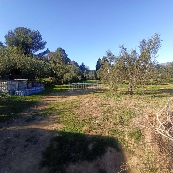 Foto 543cc08e-65c5-41a6-be6a-932028d04936. Terreno residencial terreno rústico en venta en aleixar l. en Aleixar (L´)